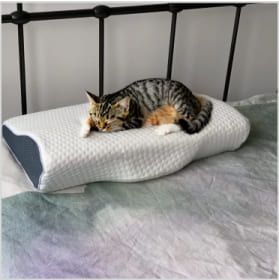 William P. Derila pillow review